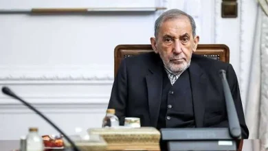 واکنش تند ولایتی به بیانیه شورای همکاری خلیج فارس: از دولت بی‌مسئولیت امارات باید پرسید، شما در یمن چه می‌کردید؟