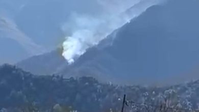 مدیرکل منابع طبیعی مازندران: شکارچیان غیرمجاز عاملان احتمالی آتش سوزی الیت هستند