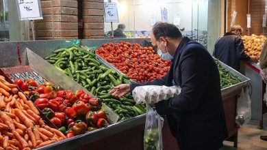 هر کیلو گرم خیار در کانال ۹۰ هزار تومان قرار گرفت