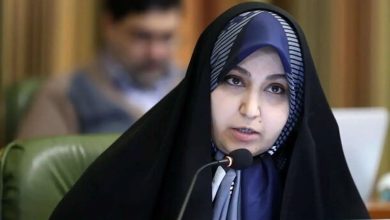 نرجس سلیمانی: بعضی از شهرداران در تهران، در حد «منگنهزن» هم نیستند