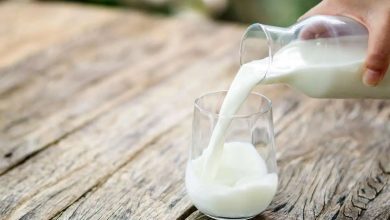 وزیر کشاورزی: قیمت هر کیلوگرم شیر خام درب دامداری، ۲۹ هزار و ۵۰۰ تومان شد