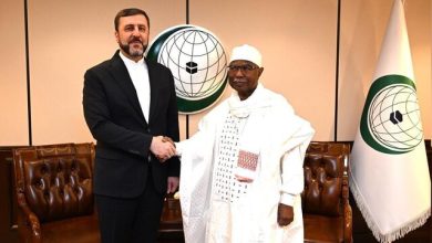 غریب آبادی: ایران در ماه‌های آینده میزبان کنفرانس «جنبش جهانی حمایت از خانواده» خواهد بود