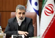 صلاح نیست الان به دشمن درمورد سایت‌های آسیب دیده اطلاعات دهیم