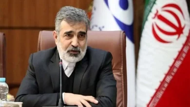 صلاح نیست الان به دشمن درمورد سایت‌های آسیب دیده اطلاعات دهیم