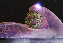 مهار موج شدید آنفلوآنزا در کشور طی هفته جاری