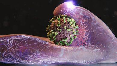 مهار موج شدید آنفلوآنزا در کشور طی هفته جاری