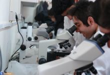 رئیس فرهنگستان علوم: ریزش نخبگان زنگ خطر جدی است / از هر ۴۵۰ مقاله تنها یک اختراع ثبت می‌شود؛ در حالی که ژاپنی‌ها از هر دو مقاله یک و ترکیه از هر ۱۰۰ مقاله یک ثبت اختراع ارئه می‌دهند