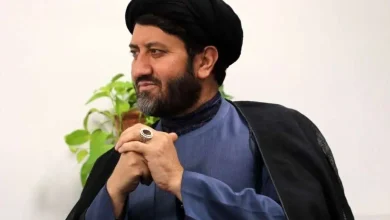 نماینده اسبق مجلس: برخی از نمایندگان ادوار، مسافرکشی می‌کنند