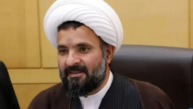 باقری: همه به‌دنبال این هستیم که بخش خصوصی را زمین بزنیم