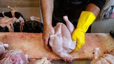 تخصیص ارز ترجیحی طی ۲ تا ۳ سال اخیر تاثیری در قیمت مرغ و گوشت نداشته / حذف ارز ترجیحی از حلقه اول و پرداخت آن به تولیدکننده یا مردم راهگشای تنظیم بازار است