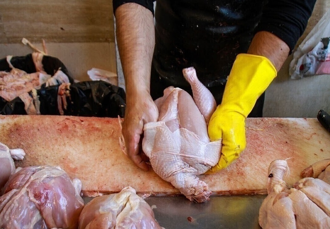 تخصیص ارز ترجیحی طی ۲ تا ۳ سال اخیر تاثیری در قیمت مرغ و گوشت نداشته / حذف ارز ترجیحی از حلقه اول و پرداخت آن به تولیدکننده یا مردم راهگشای تنظیم بازار است