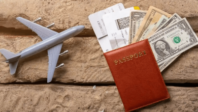 قیمت ارز مسافرتی مشخص شد / متقاضیان می‌توانند ۵۰۰ یورو ارز مسافرتی خود را با پرداخت حدود ۸۰ میلیون تومان بخرند