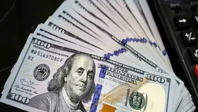 پیامدهای حذف ناگهانی ارز ترجیحی چیست ؟ / آیا دولت میتواند آن را کاهش دهد