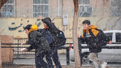 مدارس و ادارات این استان‌ها مجازی و دورکار شدند