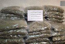 بازداشت گل فروش محله نظام آباد تهران