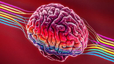 ۷ عادت ساده و موثر برای پیشگیری از آلزایمر