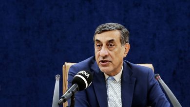 واکنش معاون پزشکیان به قطعی اینترنت/ کسی بخواهد به جمهوری اسلامی هجمه کند، قطع اینترنت اجتناب ناپذیر است/ تا قبل از ۱۸ دی، هیچ کس در خیابان کشته نشد