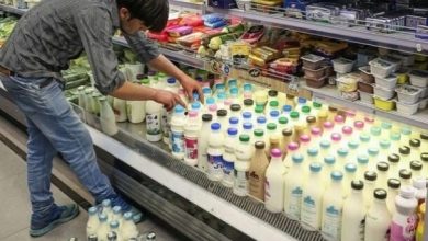 قیمت جدید شیر، پنیر و ماست اعلام شد + مصوبه جدید ستاد تنظیم بازار