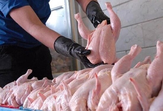 قیمت مرغ پس از حذف ارز ترجیحی/ فروغی: احتمال رسیدن به ۳۰۰ تا ۴۰۰ هزار تومان وجود دارد