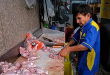 اعلام قیمت مرغ در تهران/مرغ را گرانتر از این قیمت نخرید