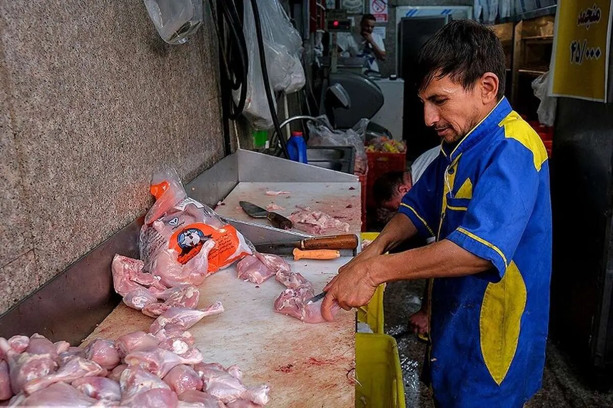 اعلام قیمت مرغ در تهران/مرغ را گران‌تر از این قیمت نخرید