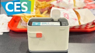 هشدار؛ این غذا می‌تواند حساسیت‌زا باشد!