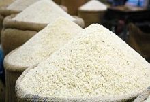 مصوبه هیات وزیران: توزیع ۱۰۰ هزار تن برنج در بازار از محل موجودی شرکت بازرگانی دولتی