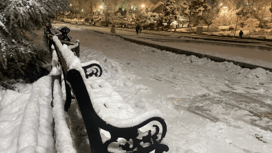 بارش برف در تهران آغاز شد / پیش بینی مسوولان: امشب بارش سنگین برف در پایتخت داریم