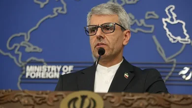 واکنش سخنگوی وزارت خارجه ایران به ادعای کشته‌ شدن ۳۰ هزار نفر: دروغی به سبک هیتلر است