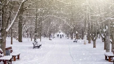 برف و باران میهمان پایتخت‌نشینان