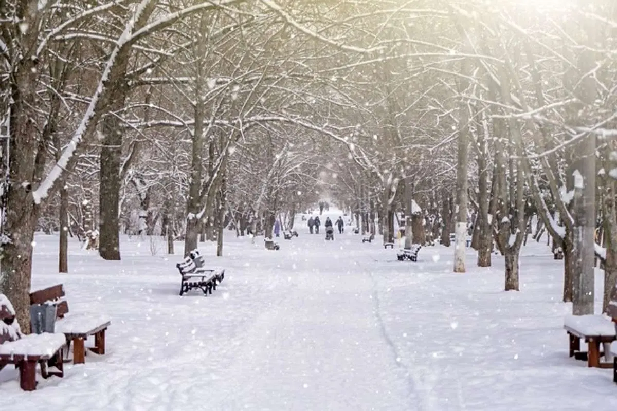 برف و باران میهمان پایتختنشینان