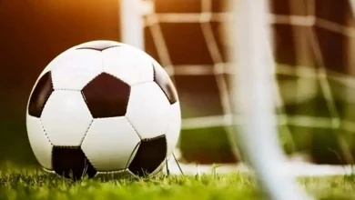 ۹ بازیکن و یک سرمربی محروم شدند/ سازمان لیگ اسامی را منتشر کرد