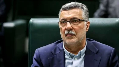 واکنش وزیر بهداشت به ادعای دستگیر شدن پزشکان در ناآرامیهای اخیر