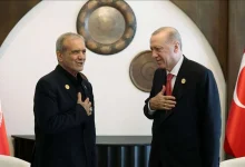 جزئیات گفتگوی تلفنی اردوغان و پزشکیان/ اعلام آمادگی ترکیه برای میانجیگری