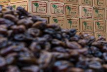 قیمت خرما در ماه رمضان کیلویی ۳۱۰ هزار تومان است