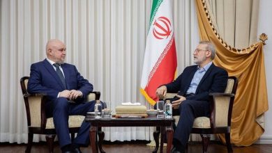 لاریجانی: فشارهای غرب نتوانسته همکاری‌های راهبردی ایران و روسیه را متوقف کند