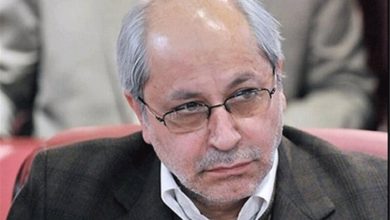 مسعود نیلی:اصلاحات اقتصادی بدون پذیرش جامعه فقط گران کردن است/وفاق با این معنی که"با هم دوست باشیم" حرف بچه هاست؛شما حکومتید و نباید اینگونه حرف بزنید