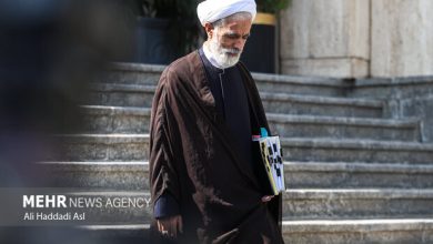 اظهارات مهم معاون پزشکیان درباره FATF و پرونده کرسنت/ مستندسازی خسارات حوادث دی‌ماه در حال انجام است