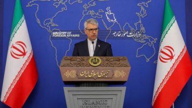 بقائی: وزیر خارجه در سلامت کامل هستند