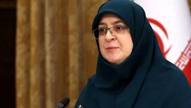 پیگیری‌ دولت برای تعیین تکلیف وضعیت دانش‌آموزان بازداشتی در حوادث دی ماه/ سخنگوی دولت: خطوط مدیریت بحران در مدارس راه اندازی می شود