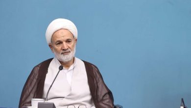 نماینده جبهه پایداری در مجلس: ممکن است مردم اشتباه کنند، به فرد درست رأی ندهند/ از پهپاد ما، آمریکا و روس کپی کردند/ مردم آزادانه ابراز عقیده می‌کنند