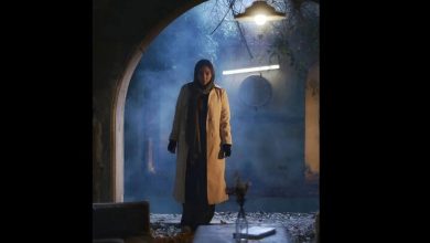 ورود به زندگی سلبریتی‌ها می‌تواند برای هر مخاطبی جذاب باشد/ با کمال میل فیلم را به جشنواره ارایه دادم