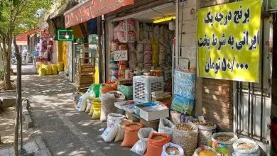 قیمت جدید برنج ایرانی و خارجی اعلام شد/ برنج ارزان شد + جزییات قیمت