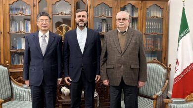 رایزنی غریب آبادی با سفرای چین و روسیه در تهران