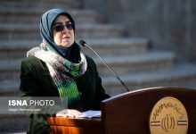 توضیحات سخنگوی دولت درباره اقدامات کمیته حقیقت‌یاب حوادث دی‌ماه/ آیا گزارش به صورت عمومی منتشر می شود؟