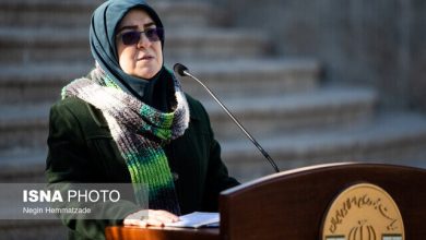 توضیحات سخنگوی دولت درباره اقدامات کمیته حقیقت‌یاب حوادث دی‌ماه/ آیا گزارش به صورت عمومی منتشر می شود؟