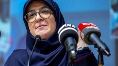 سخنگوی دولت: کشور دچار انباشتی از مسائل حل نشده است و پزشکیان به تنهایی نمی تواند همه را حل کند