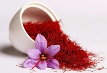 شورای ملی زعفران: کاهش ۱۰۰ درصدی صادرات زعفران نسبت به سال گذشته/ قیمت زعفران برای خریداران خارجی از ۱۱۰۰ دلار تا ۱۵۰۰ دلار بسته به نوع آن، می‌رسد