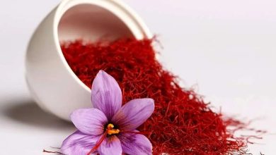 شورای ملی زعفران: کاهش ۱۰۰ درصدی صادرات زعفران نسبت به سال گذشته/ قیمت زعفران برای خریداران خارجی از ۱۱۰۰ دلار تا ۱۵۰۰ دلار بسته به نوع آن، می‌رسد