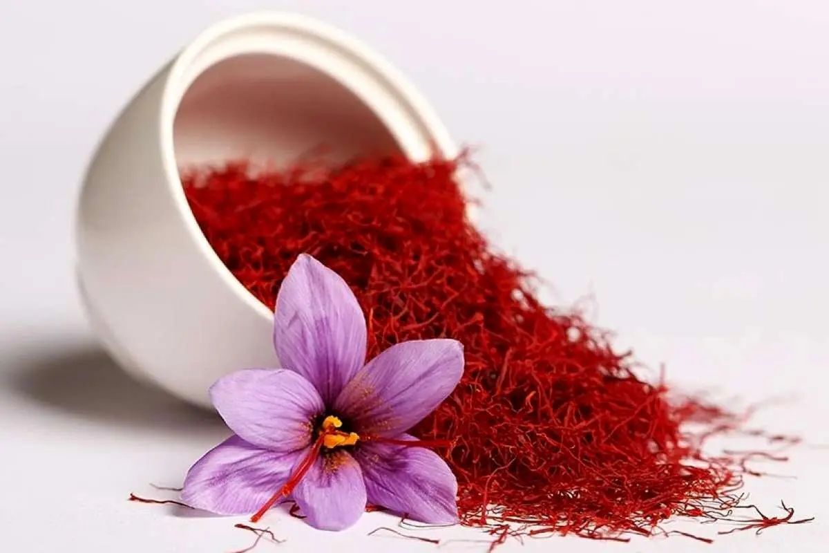 شورای ملی زعفران: کاهش ۱۰۰ درصدی صادرات زعفران نسبت به سال گذشته/ قیمت زعفران برای خریداران خارجی از ۱۱۰۰ دلار تا ۱۵۰۰ دلار بسته به نوع آن، میرسد
